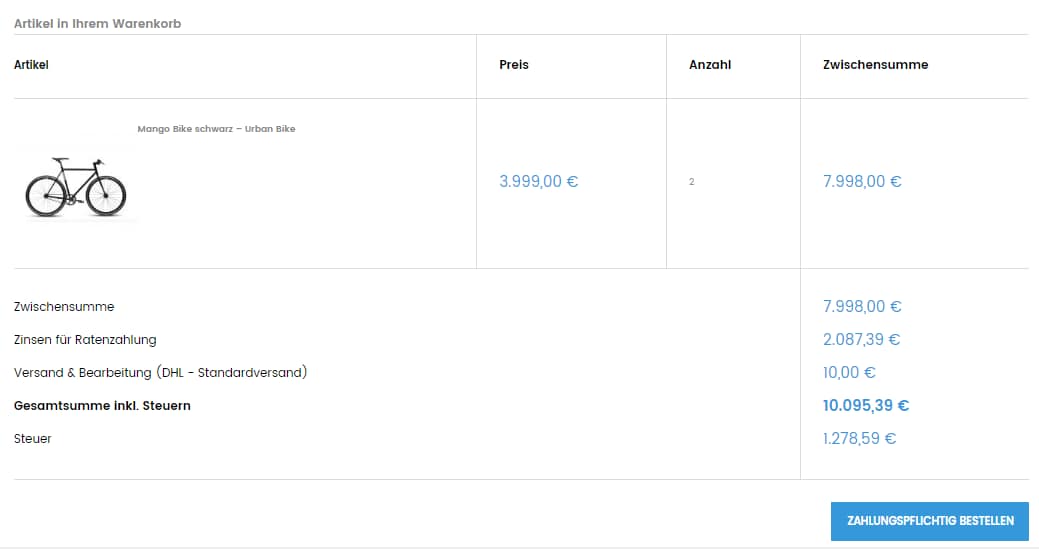 Beispiel Kosten im Checkout