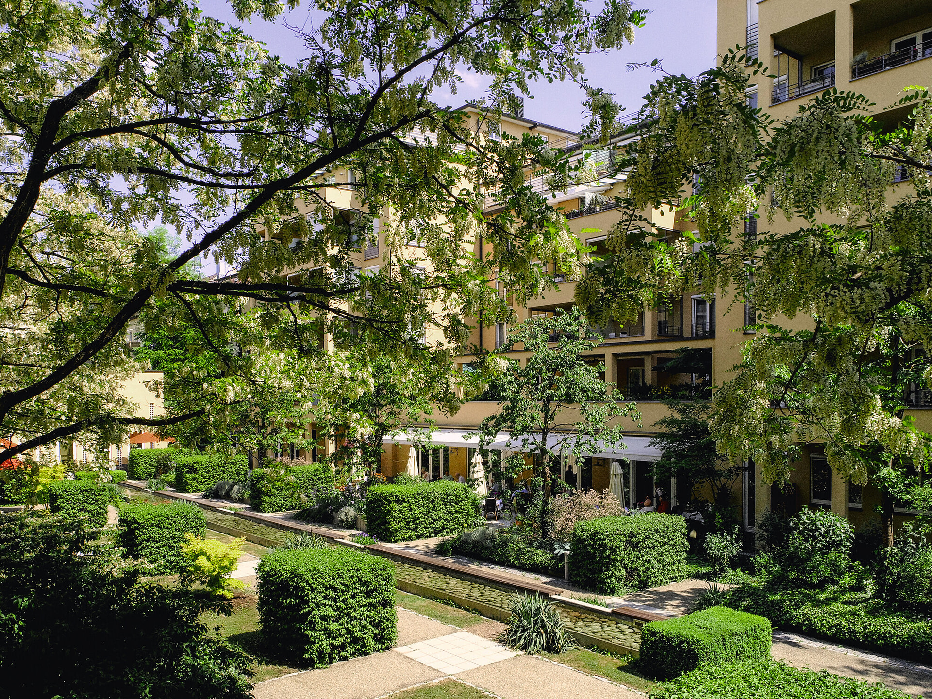 Ein wunderschön grüner Garten im Innenhof des Seniorenhaus Tertianum.
